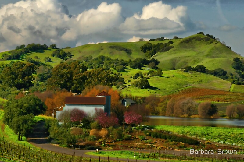 Napa CA Weather February Guide