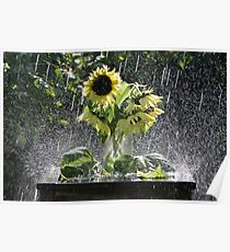 Shower Arrangement Poster