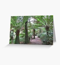 Australian Otways Rainforest Greeting Card