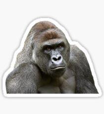 Harambe Sticker