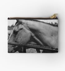 Rowdy at the gate. Studio Pouch