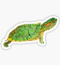 Turtle Sticker