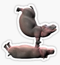 Sportliche Flusspferde Sticker