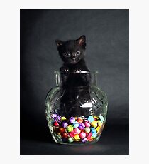Kandy Kit Photographic Print