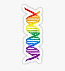 Rainbow Double Helix Sticker