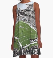 Philadelphia Eagles Nest A-Line Dress