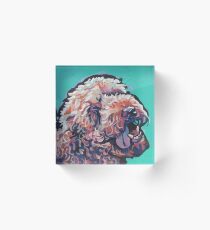 Bloque acrílico Poodle Labradoodle Golden Doodle Dog Arte pop colorido brillante