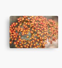 Flowers Tiny Tiny Metal Print