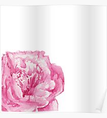 Peony Poster