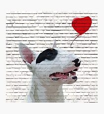 English Bull Terrier Banksy Style Photographic Print
