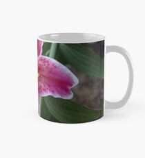Stargazer Lilly Mug