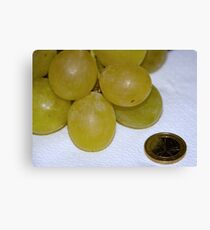 Monster Moscato grapes, Bolzano/Bozen, Italy Canvas Print