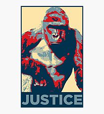 Harambe: Justice Photographic Print