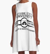 Theed University, Naboo (Star Wars) A-Line Dress