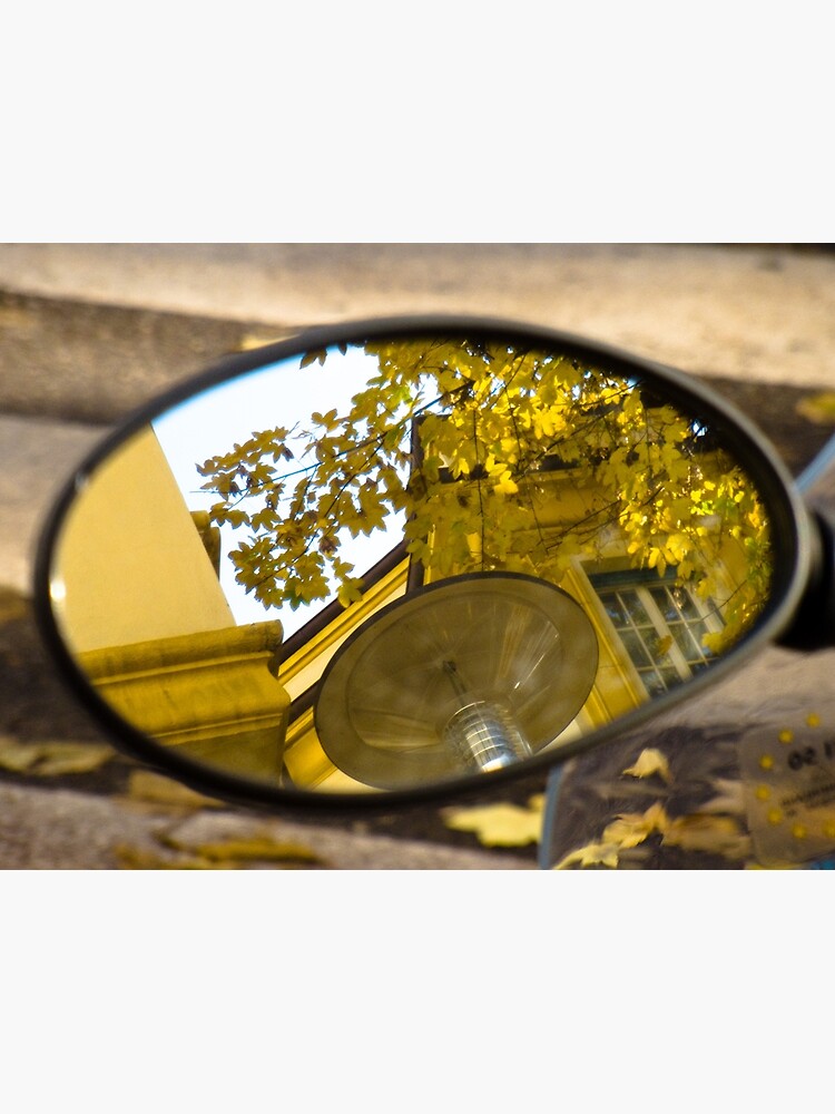 Peeking through the leaves, Bolzano/Bozen, Italy by leemcintyre
