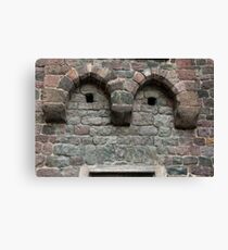 Friendly Face, Bolzano/Bozen, Italy Canvas Print