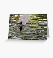 Meandering through the ripples, Bolzano/Bozen, Italy Greeting Card