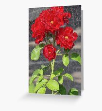 Sprinkler shower, Bolzano/Bozen, Italy Greeting Card