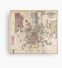 Vintage Map of Houston Texas (1895) Metal Print