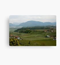 Valley with vineyards and apple orchards near Bolzano/Bozen, Italy Canvas Print