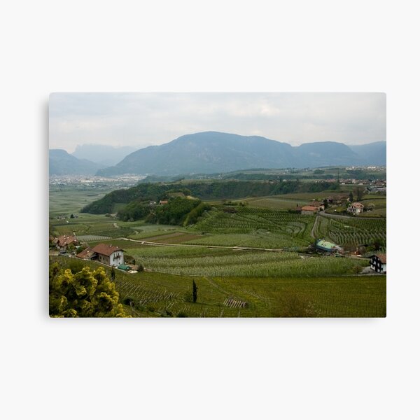 Valley with vineyards and apple orchards near Bolzano/Bozen, Italy Canvas Print
