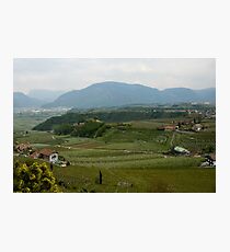 Valley with vineyards and apple orchards near Bolzano/Bozen, Italy Photographic Print