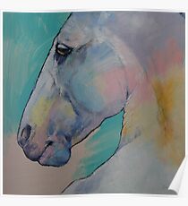 Lipizzan Stallion Poster