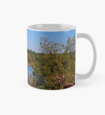 Maumee River from Hood Park Mug