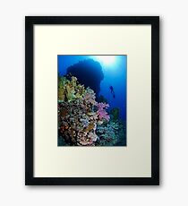 Underwaterworld - Habili Etnin Arug Framed Print