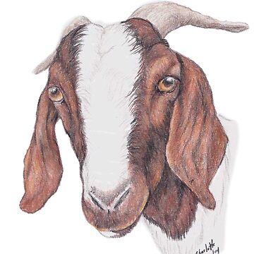 How to draw a Goat easy step by step for beginners... #art #draw #drawing  #pencilSketch #pencilDrawing #kids Drawing #goat #goatDrawing | How to draw  a Goat easy step by step for beginners ...