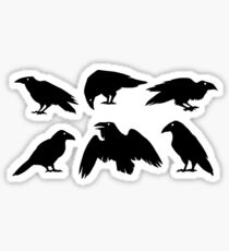 Bird Brains Sticker
