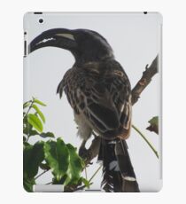 Hornbill, Somalia iPad Case/Skin