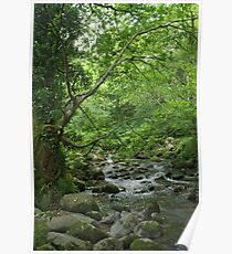 Mystic Mountain Stream Poster