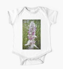 Lamb's Ear Blossom One Piece - Short Sleeve