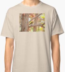 Fall Colors With Yellow Rumped Warbler Classic T-Shirt