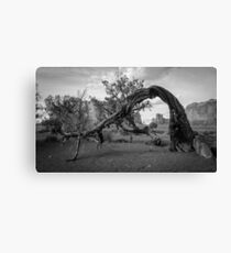 Monument Valley Tree Canvas Print