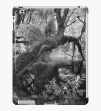 overarching iPad Case/Skin
