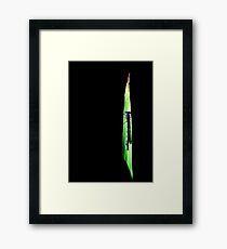Sliver of Color Framed Print