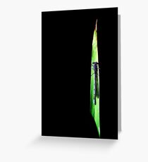 Sliver of Color Greeting Card