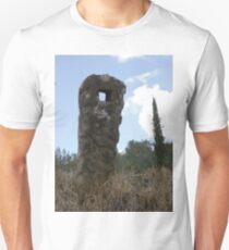 Natural Sculpture Unisex T-Shirt