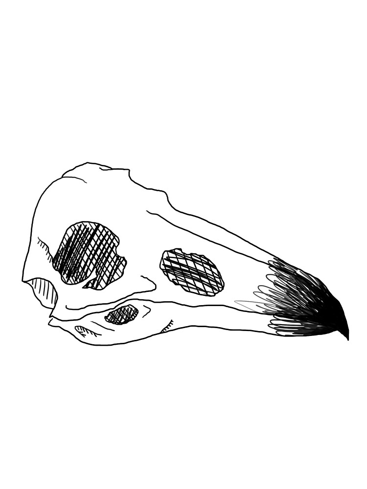 "Crow Skull (black print)" by sowrongitsrosie | Redbubble