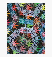 Flower - Flower - Leaf Photographic Print