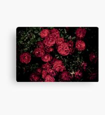 Red Flowers Canvas Print