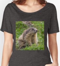 Marmotte 3-4 face_8288 Women's Relaxed Fit T-Shirt