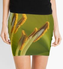 Stamen Mini Skirt