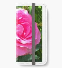 Blush Pink Rose iPhone Wallet/Case/Skin