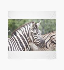 Etosha National Park Namibia Zebra Scarf