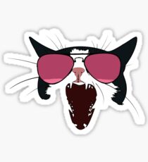 Cat with Pink Aviators Sticker