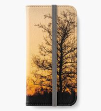 Observer (iPhone wallet) iPhone Wallet/Case/Skin