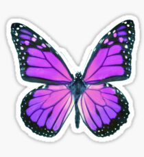 Ultraviolet Butterfly Sticker